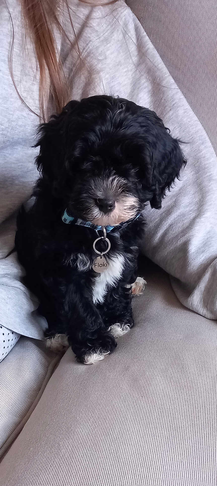 Floki