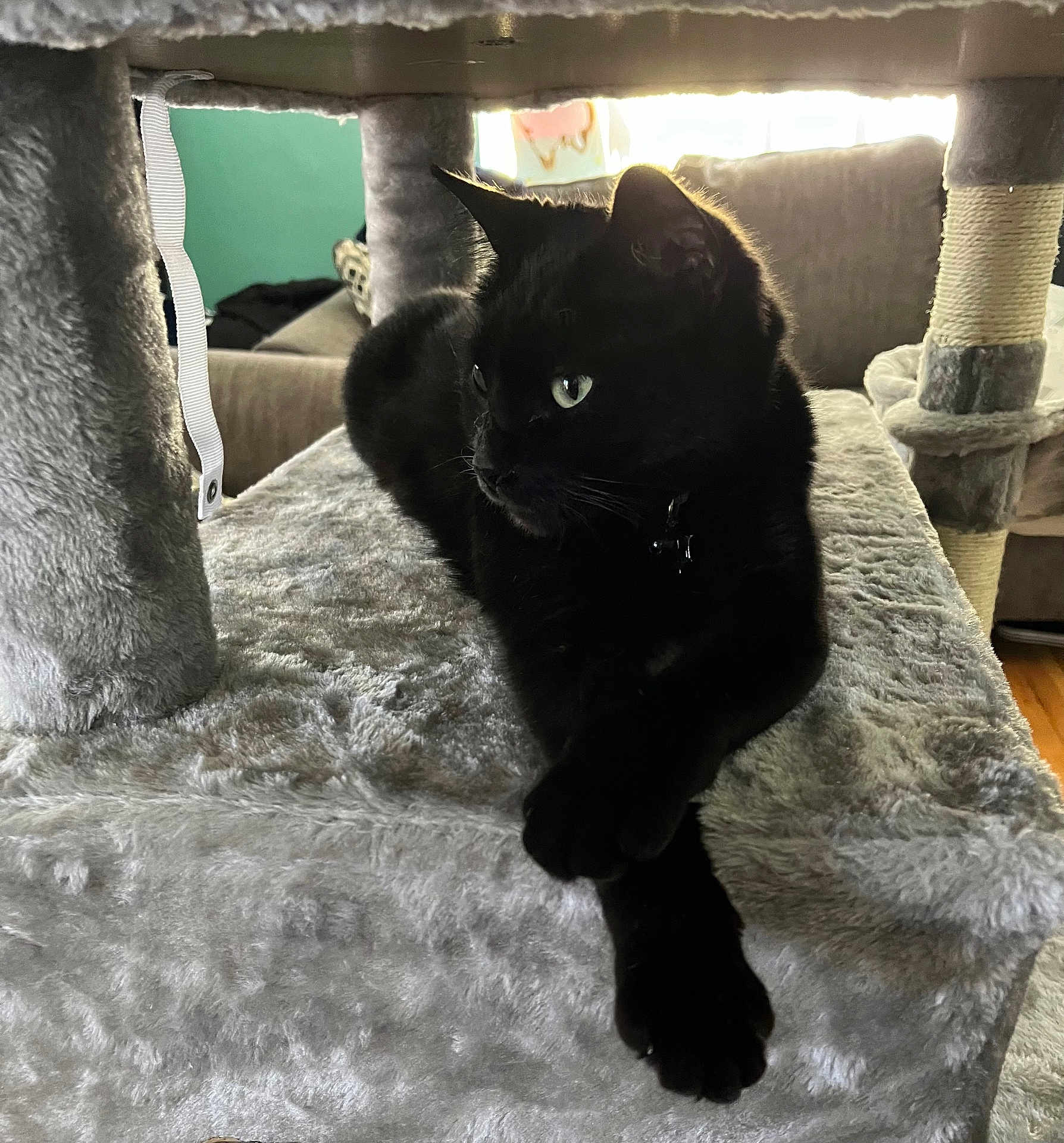 Salem