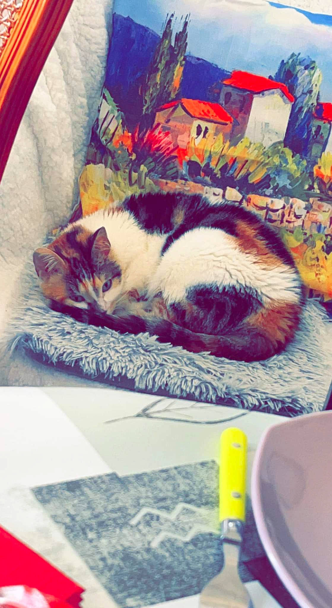 Princesse