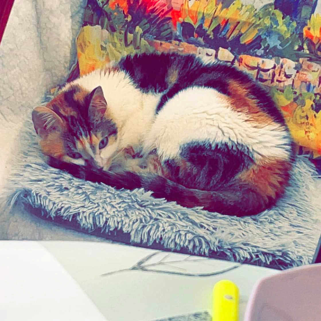 Princesse