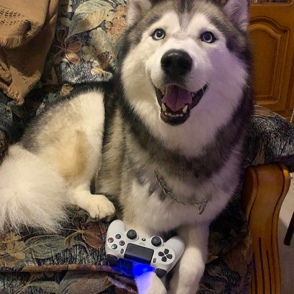 Ottawa