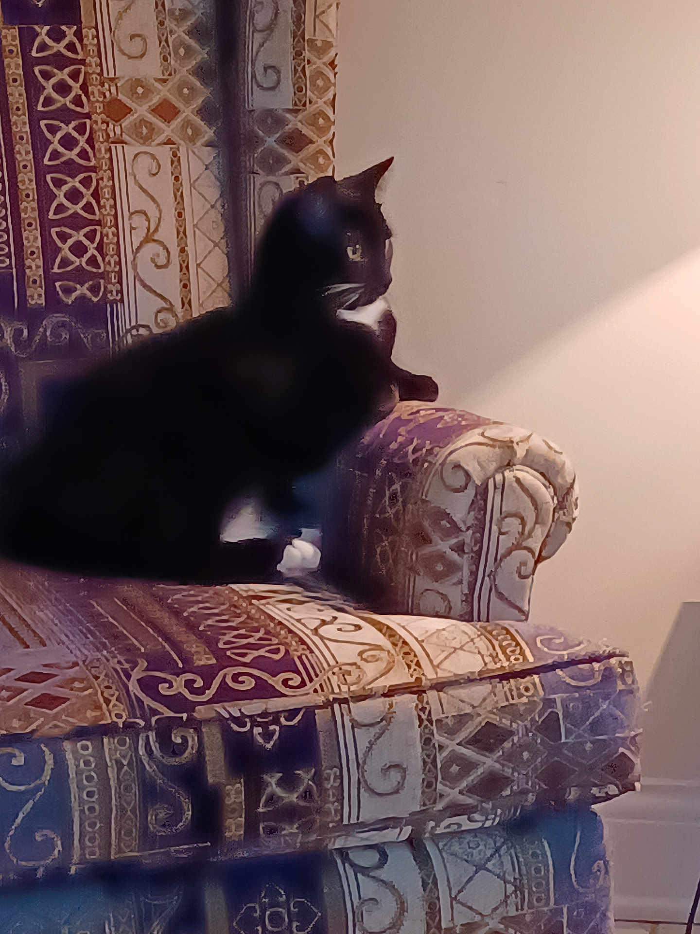 Suzie
