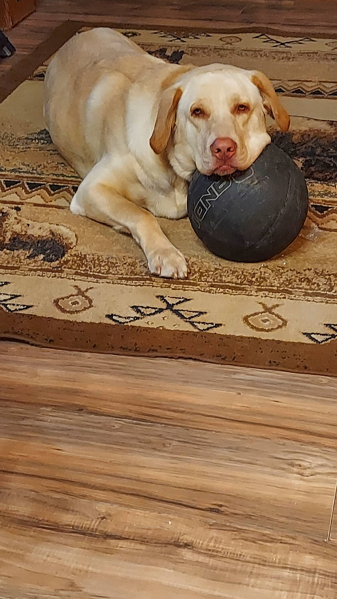 Copper