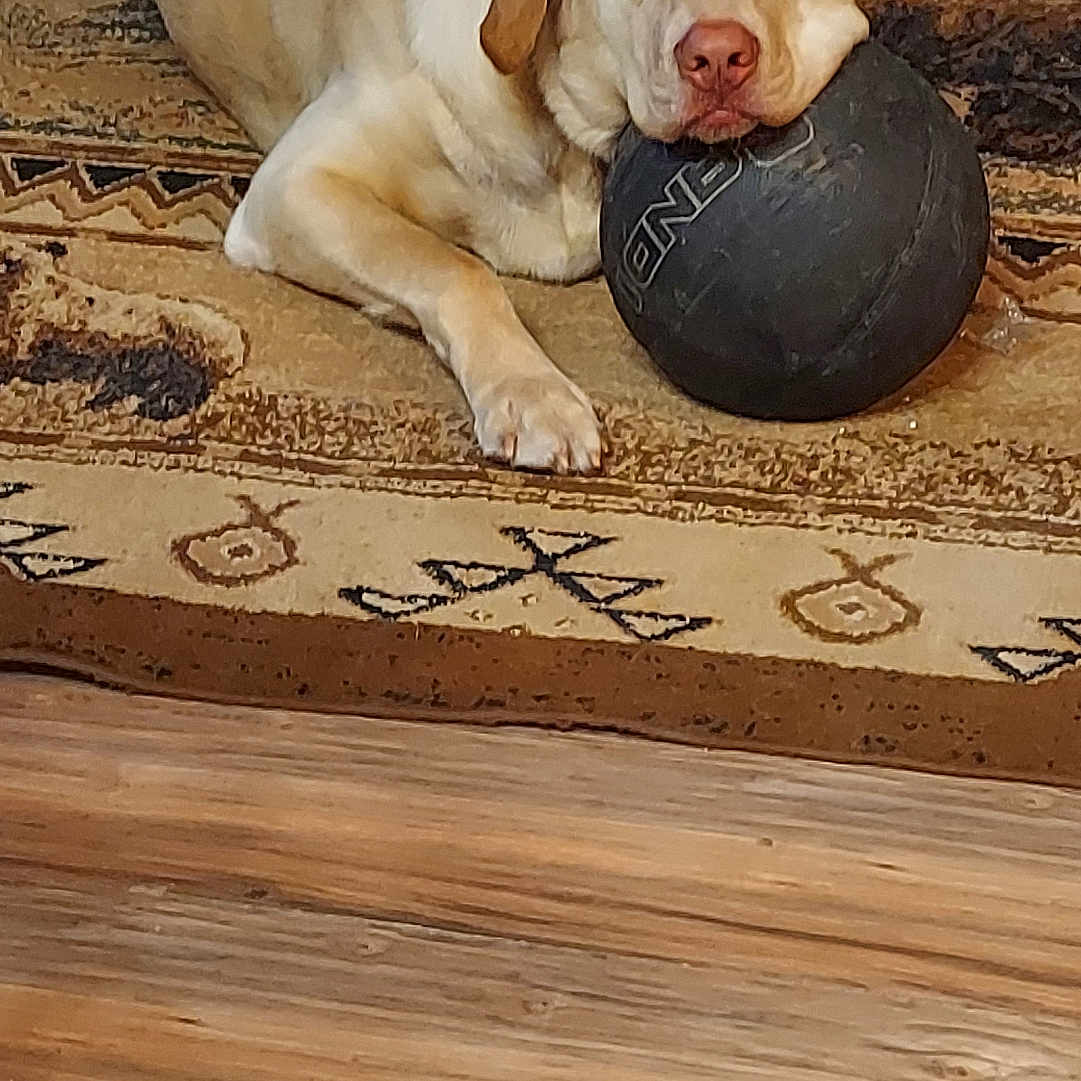 Copper
