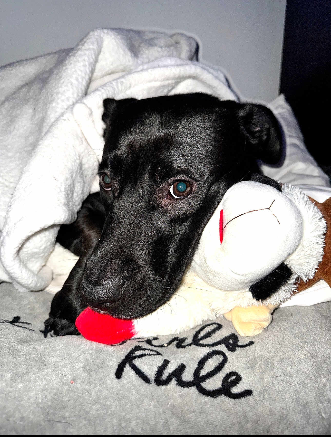 Ruby
