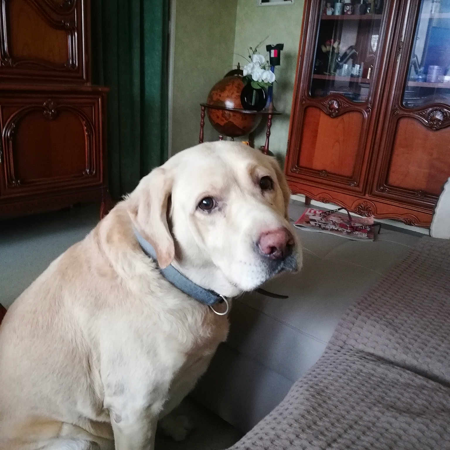 Marley