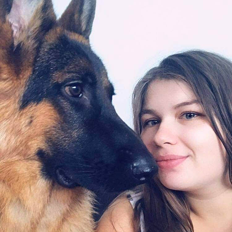 Orso a rejoint le concours — aidez-le/la à gagner de superbes lots ! carnivore, companion_dog, dog, dog_breed, eyelash, fawn, flash_photography, german_shepherd_dog, gesture, happy, head, herding_dog, iris, jaw, king_shepherd, nose, old_german_shepherd_dog, sky, smile, snout