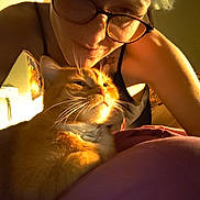 Garfield is registered to the contest to win money with this photo: bedroom, black_tank_top, cat, closeup, comfort, cuddling, feline, glasses, human, indoor, intimate, orange_cat, person, pet, relaxation, sleepy, soft_light, tattoo, warm_light, whiskers