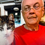 Maxamillion joined the competition — help win amazing prizes! animal, cat, close_up, cozy, curious, face, feline, glasses, home, indoor, man, person, pet, portrait, red_shirt, senior, tabby_cat, whiskers, white_cat, window