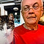 animal, cat, close_up, cozy, curious, face, feline, glasses, home, indoor, man, person, pet, portrait, red_shirt, senior, tabby_cat, whiskers, white_cat, window