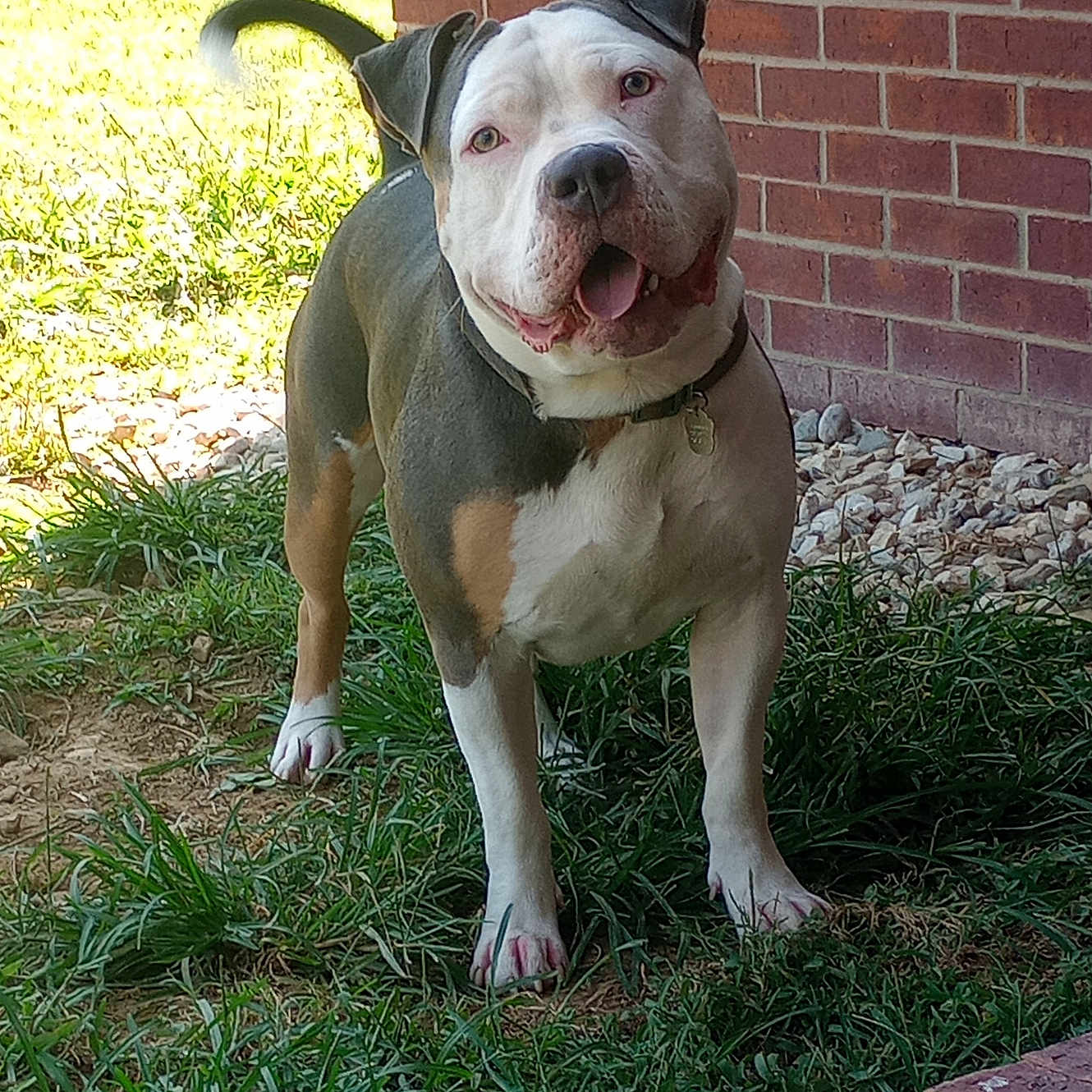 Zeus