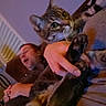 Charles is registered to the contest to win money with this photo: cat, tabby_cat, person, hand, indoor, couch, furniture, relaxed, blurred, dim_light, pet, animal, close_up, holding, cozy, sleepy, living_room, whiskers, paw, face