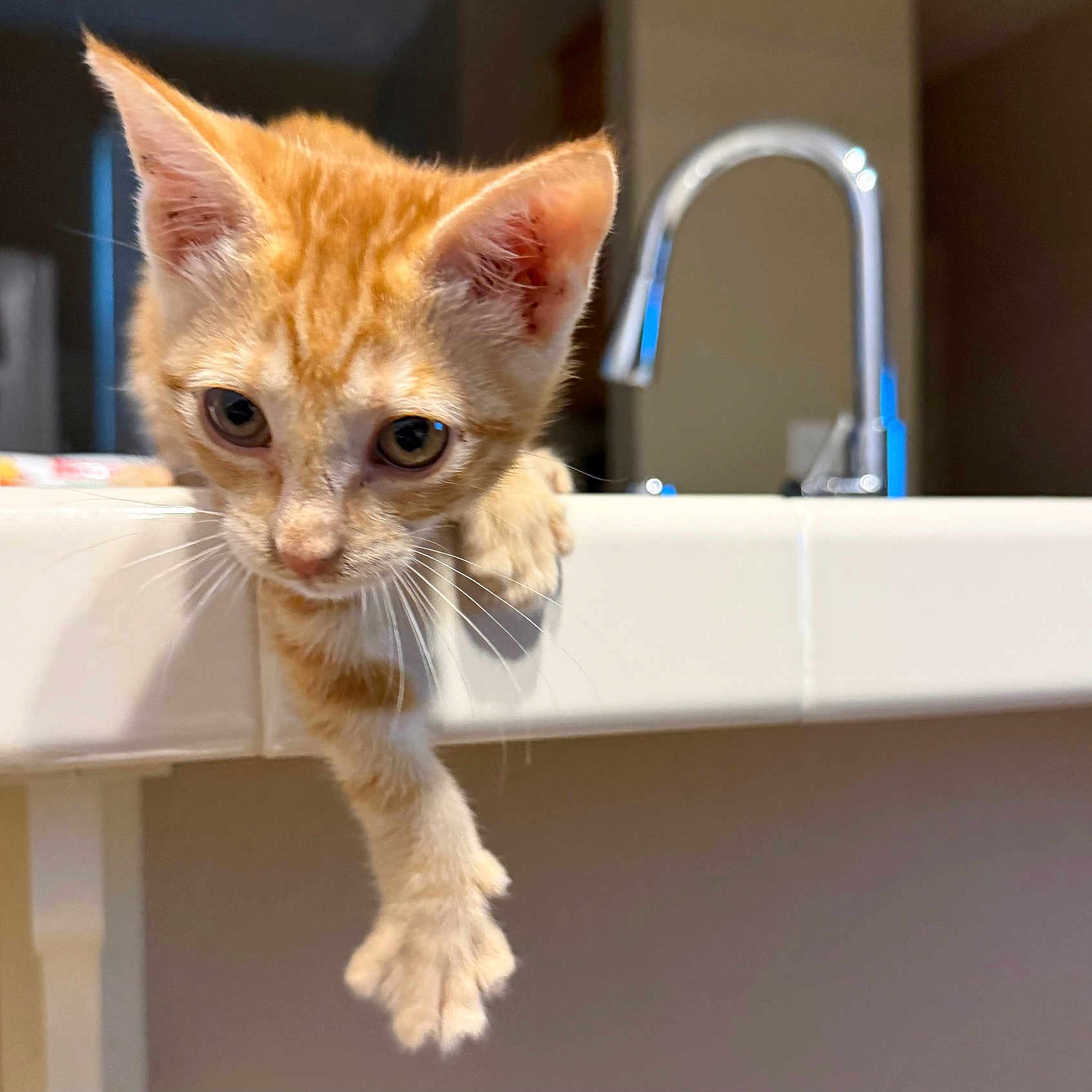 Leeloo