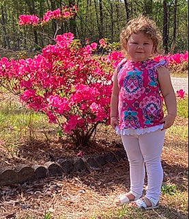 Amara joined the competition — help win amazing prizes! annual_plant, botany, flower, flowering_plant, grass, groundcover, joy, landscape, leaf, magenta, natural_landscape, people_in_nature, person, petal, pink, plant, shrub, sleeve, soil, tree