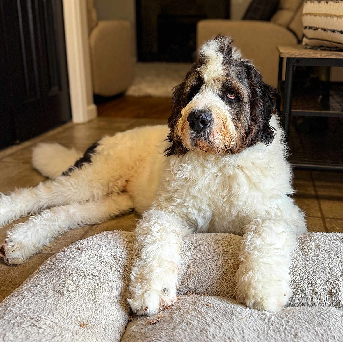 Murphy