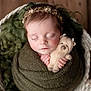 Adelaide joined the competition — help win amazing prizes! baby, basket, blanket, closeup, cozy, cute, flower, hands, headband, infant, knit, newborn, peaceful, portrait, sleeping, soft_lighting, teddy_bear, toy, wooden_background, wrapped