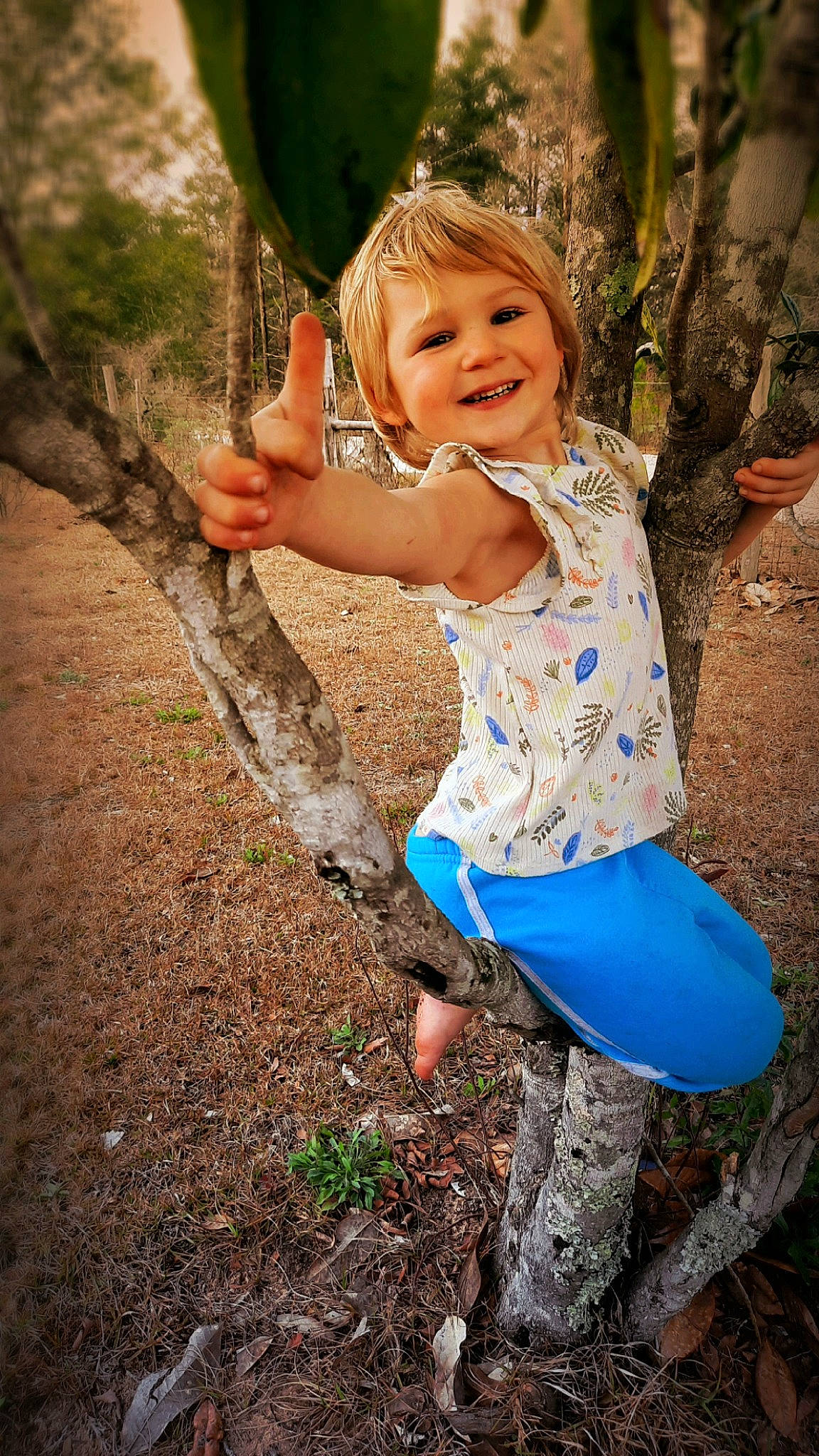 Norah is registered to the contest to win money with this photo: botany, branch, eye, face, flash_photography, fun, grass, happy, head, joy, leaf, light, nature, people_in_nature, person, plant, smile, standing, sunlight, toddler