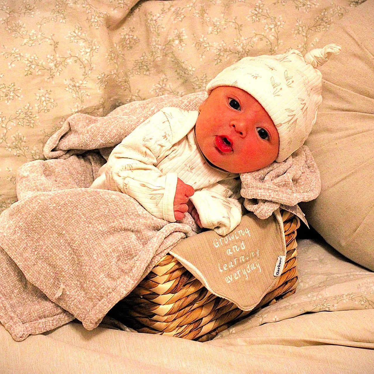 Richard is registered to the contest to win money with this photo: baby, blanket, basket, bed, pillow, hat, infant, cute, soft, cozy, face, person, sleepwear, fabric, indoors, rest, comfort, portrait, newborn, wrapped