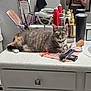 cat, gray_cat, tabby_cat, makeup_brushes, makeup, bathroom_counter, vanity, cosmetics, brushes, mirror, hair_products, container, towel, sink, toiletries, relaxed, pet, feline, household, indoor