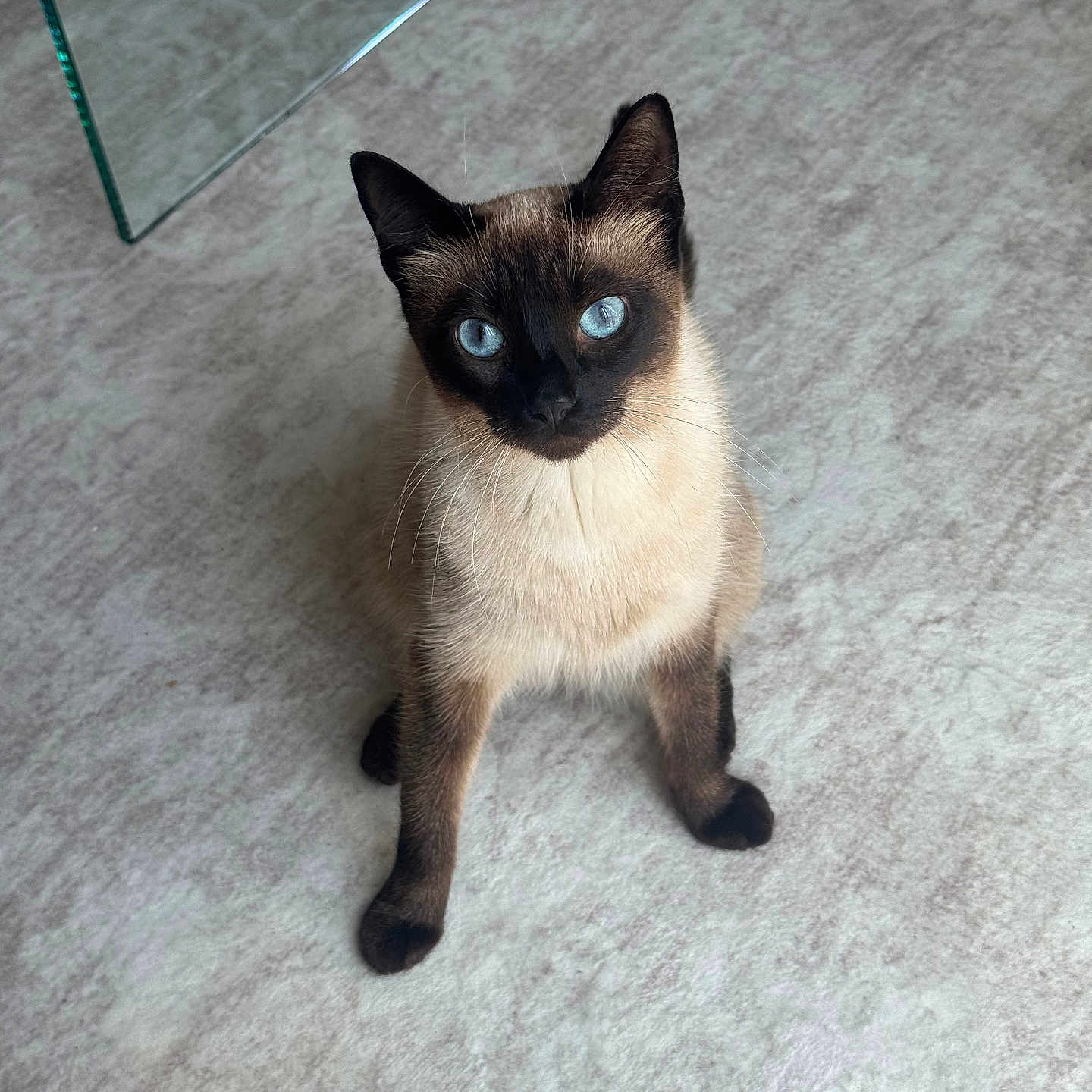 Sapphire