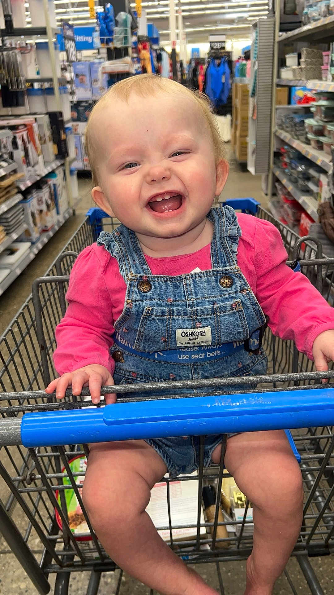 Deelylah joined the competition — help win amazing prizes! aisle, baby, cheerful, child, cute, denim_overalls, grocery, happy, indoor, infant, person, pink_shirt, products, retail, seat_belt, shopping, shopping_cart, smiling, store, toddler