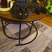 Geera joined the competition — help win amazing prizes! cat, black_cat, table, wooden_table, green_eyes, furniture, living_room, guitar, decor, carpet, plant, vase, glass, drink, home, relaxing, pet, indoor, cozy, leisure