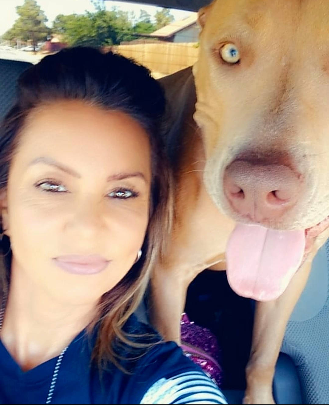 Rome joined the competition — help win amazing prizes! beauty, cool, dairy_cow, dog_breed, electric_blue, eyebrow, eyelash, fawn, fun, happy, human_leg, jaw, lip, livestock, mouth, nose, selfie, skin, terrestrial_animal, working_animal