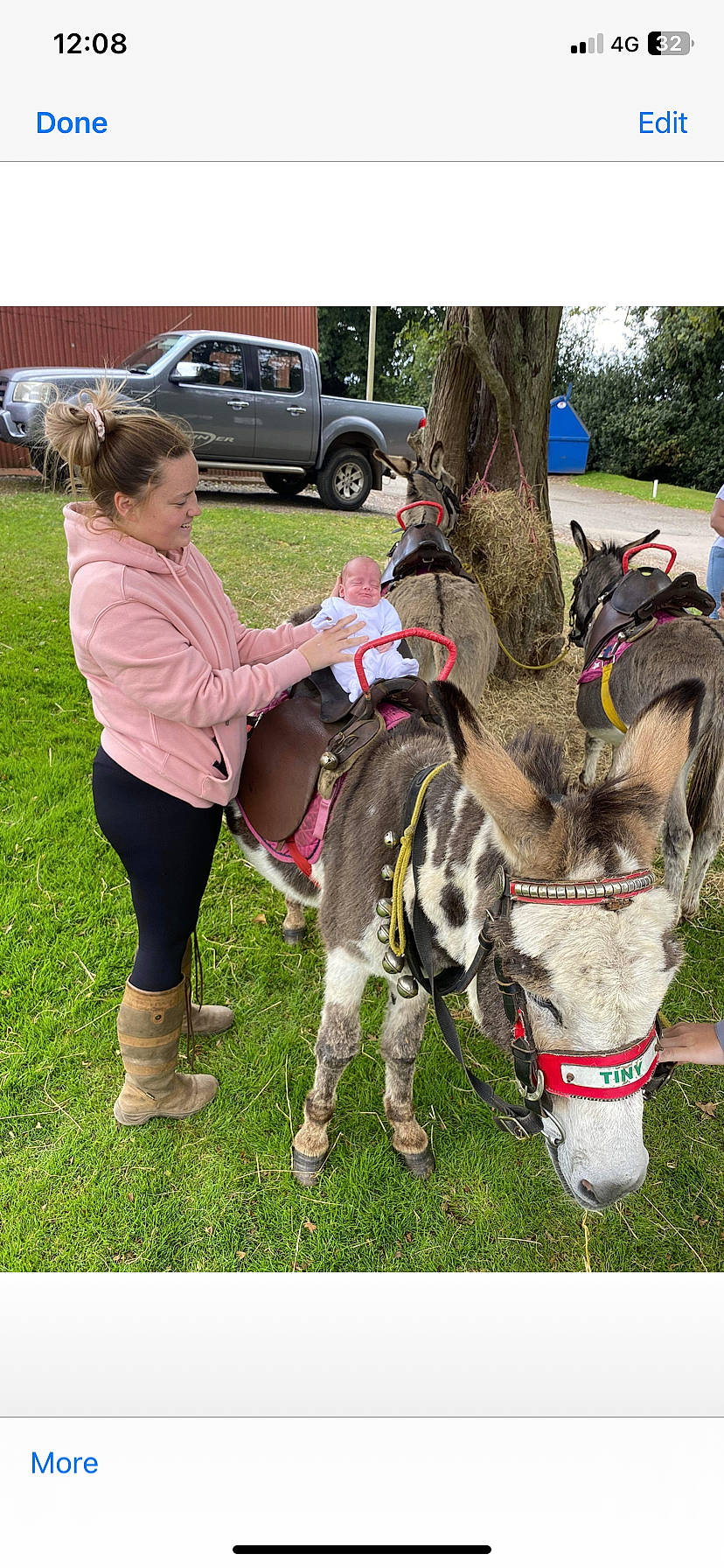 Autumn-rose is registered to the contest to win money with this photo: bit, boot, bridle, car, dog_breed, grass, horse_supplies, horse_tack, joy, leash, livestock, mane, pack_animal, person, plant, rein, snout, tire, tree, vehicle