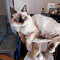 Patricia C.