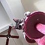 Nina is registered to the contest to win money with this photo: cat, cat_tree, ceiling, ceiling_fan, closeup, cozy, curious, feline, furniture, home_interior, indoor, kitten, looking_down, paws, pet, pink, playful, plush, portrait, whiskers