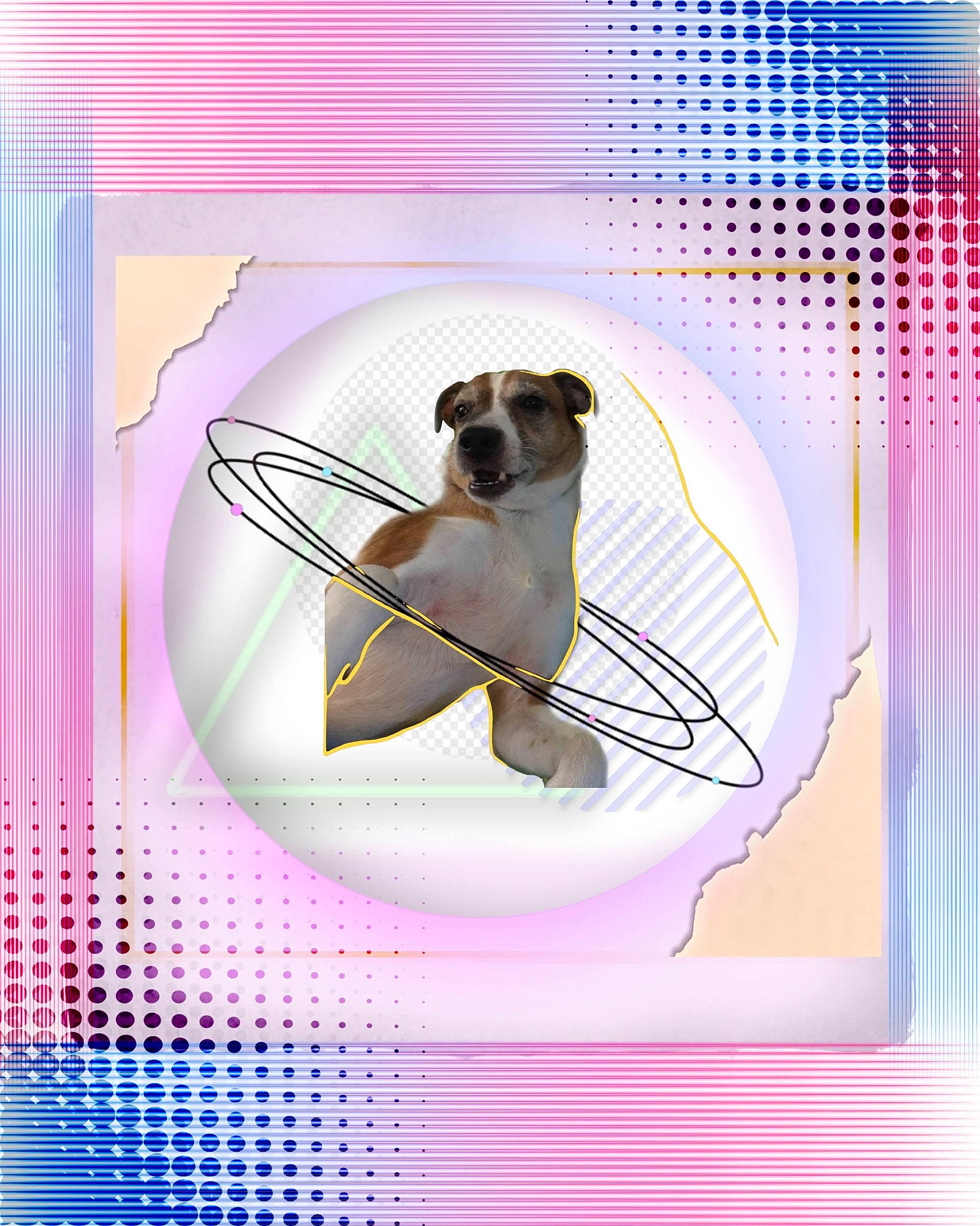 Calvin Steven Smith is registered to the contest to win money with this photo: art, carnivore, circle, companion_dog, design, dog, dog_breed, fawn, graphics, illustration, line, magenta, organism, pet_supply, product, pug, purple, rectangle, sporting_group, violet