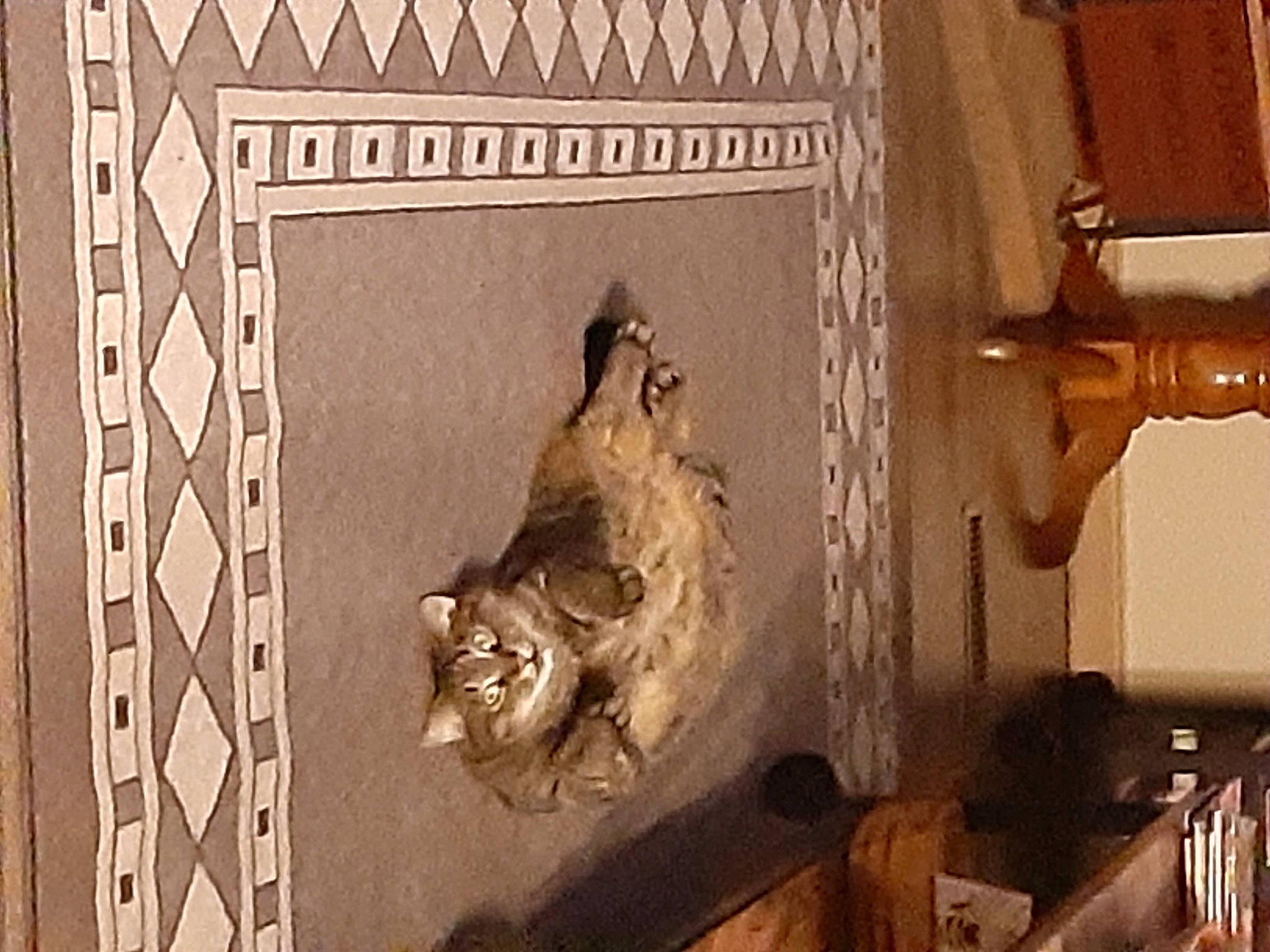 Tubby is registered to the contest to win money with this photo: art, artifact, big_cats, building, carnivore, carving, cross, facade, felidae, lion, metal, painting, rectangle, relief, room, sculpture, small_to_medium_sized_cats, still_life, visual_arts, wood