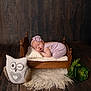 Sawyer joined the competition — help win amazing prizes! newborn, baby, sleeping, pink_outfit, headband, miniature_bed, wooden_floor, wooden_wall, plush_owl, decor, green_plants, fur_rug, cozy, portrait, indoor, cute, soft_lighting, peaceful, infant, child