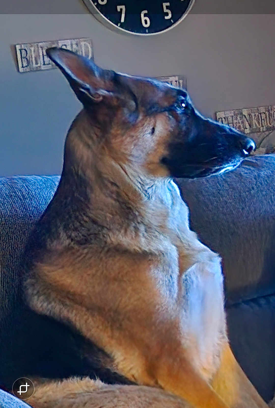Sophie