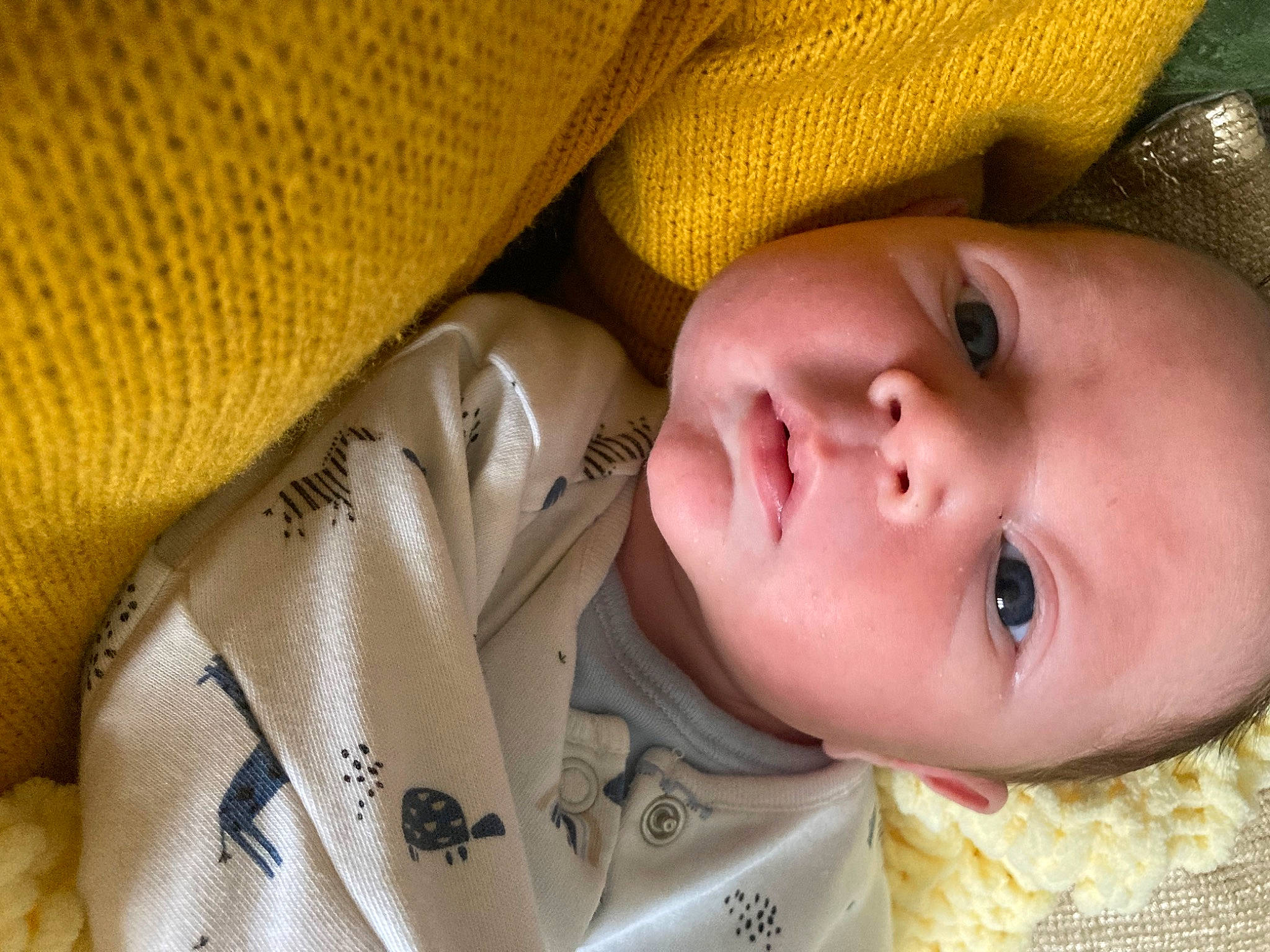 Henry is registered to the contest to win money with this photo: baby, baby_toddler_clothing, cheek, chin, close_up, comfort, eyebrow, eyelash, finger, forehead, hand, human_body, iris, lip, mouth, nose, person, skin, toddler, tree