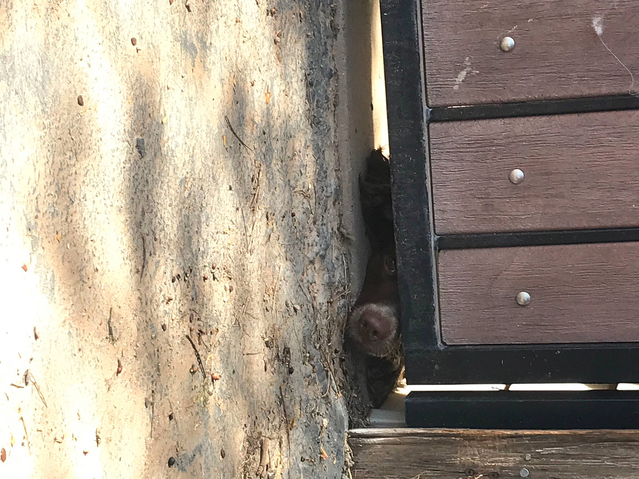 Navi is registered to the contest to win money with this photo: automotive_tire, concrete, door, facade, grey, landscape, metal, pattern, rectangle, road_surface, rock, shadow, soil, tints_and_shades, tire, tree, trunk, wall, water, wood