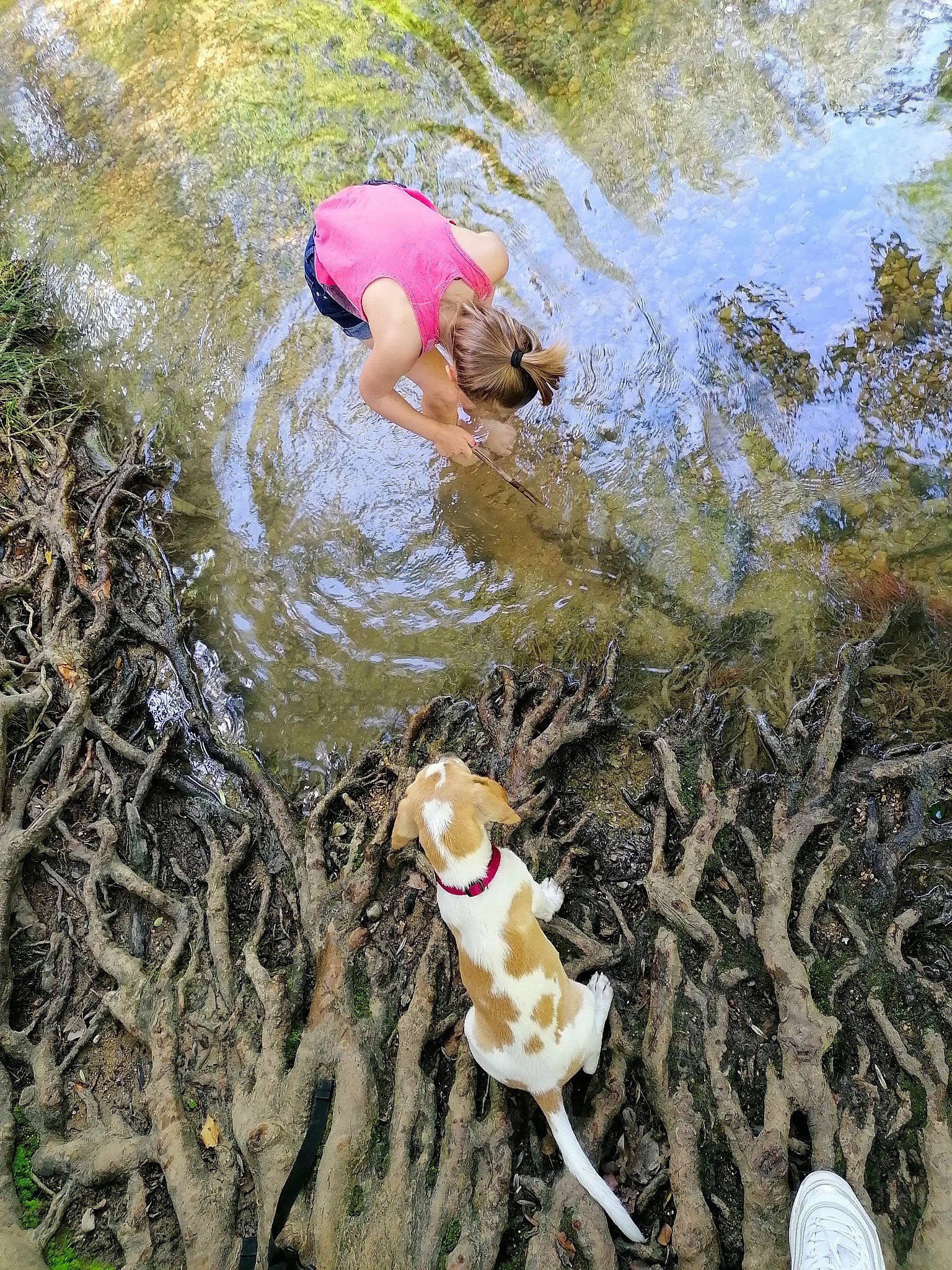 Raïley a rejoint le concours — aidez-le/la à gagner de superbes lots ! adventure, fawn, leisure, photography, pink, plant, play, recreation, river, tree, water