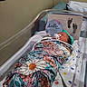 newborn, baby, hospital, bassinet, pacifier, blanket, floral, swaddled, sleeping, infant, cap, footprints, card, bed, polka_dot, cute, peaceful, wrapped, indoor, person