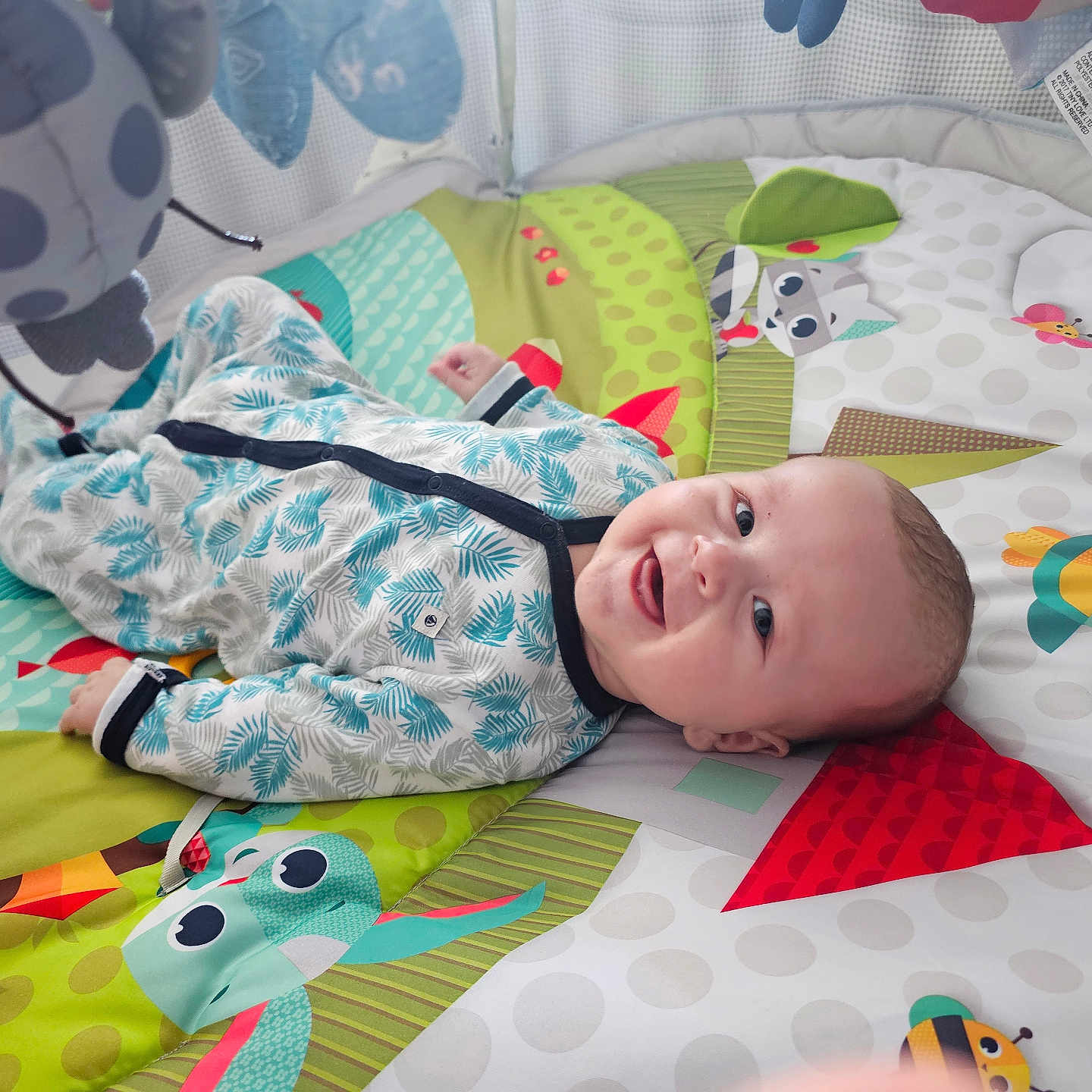 Louis participe au concours pour gagner de l'argent avec cette photo : applique, baby, bed, bedroom, blanket, crib, cushion, face, furniture, head, homedecor, indoors, infantbed, newborn, pattern, person, photography, portrait, quilt, room