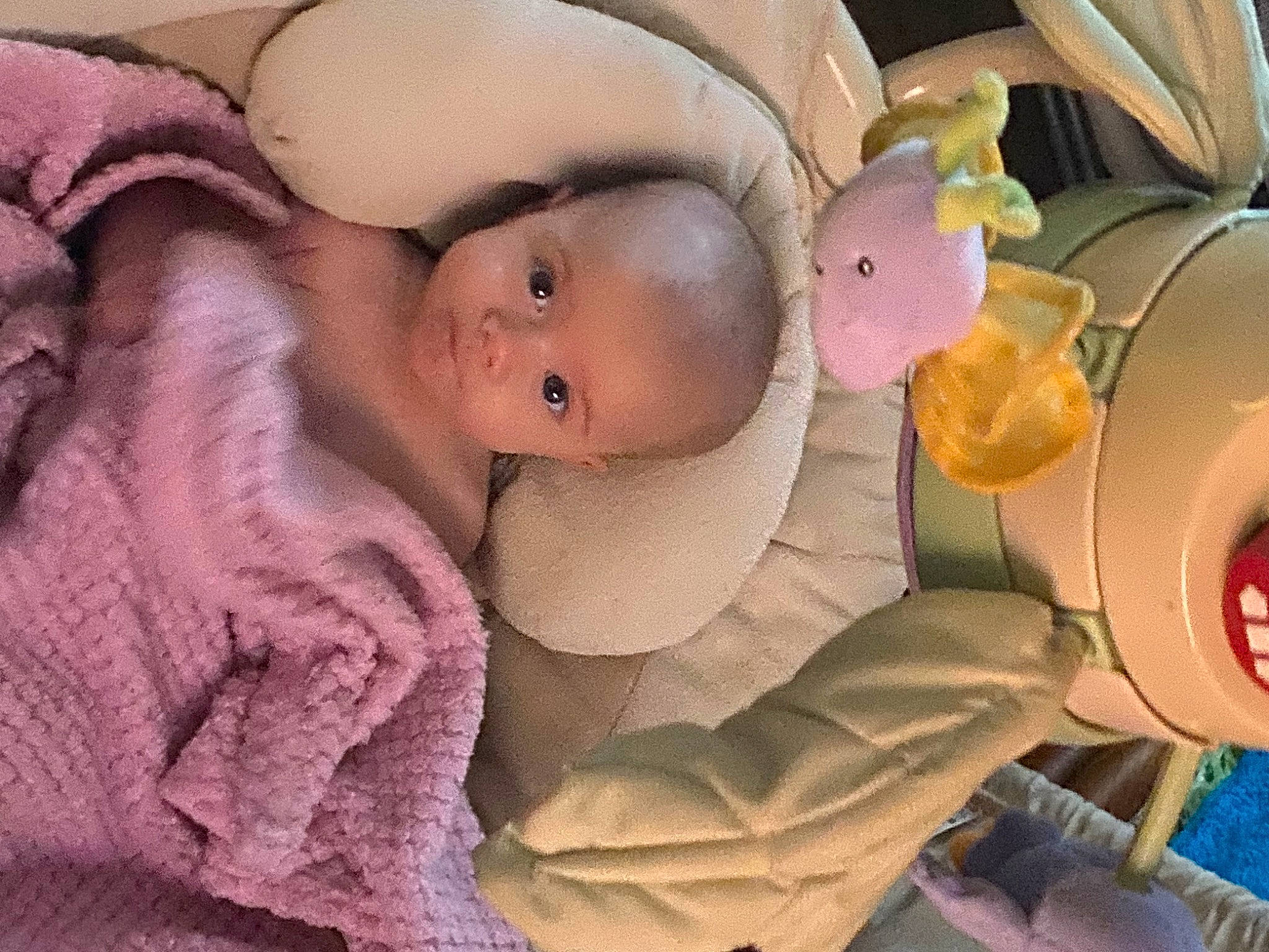 Brealynn joined the competition — help win amazing prizes! baby, baby_carriage, baby_products, baby_toddler_clothing, baby_toys, cheek, child, comfort, eyelash, fur, knit_cap, linens, nose, person, pink, plush, skin, stuffed_toy, textile, toddler