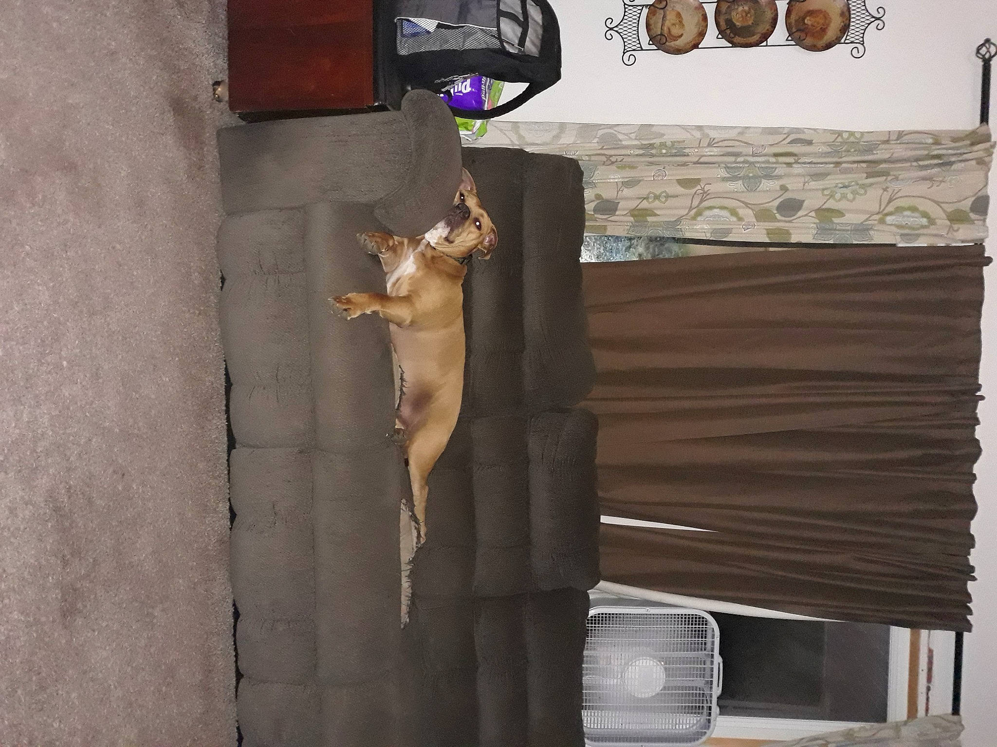 Gibbs is registered to the contest to win money with this photo: art, eyewear, facade, fur, hardwood, metal, personal_protective_equipment, photography, plywood, rectangle, room, shadow, snapshot, symbol, visual_arts, wood, wood_stain