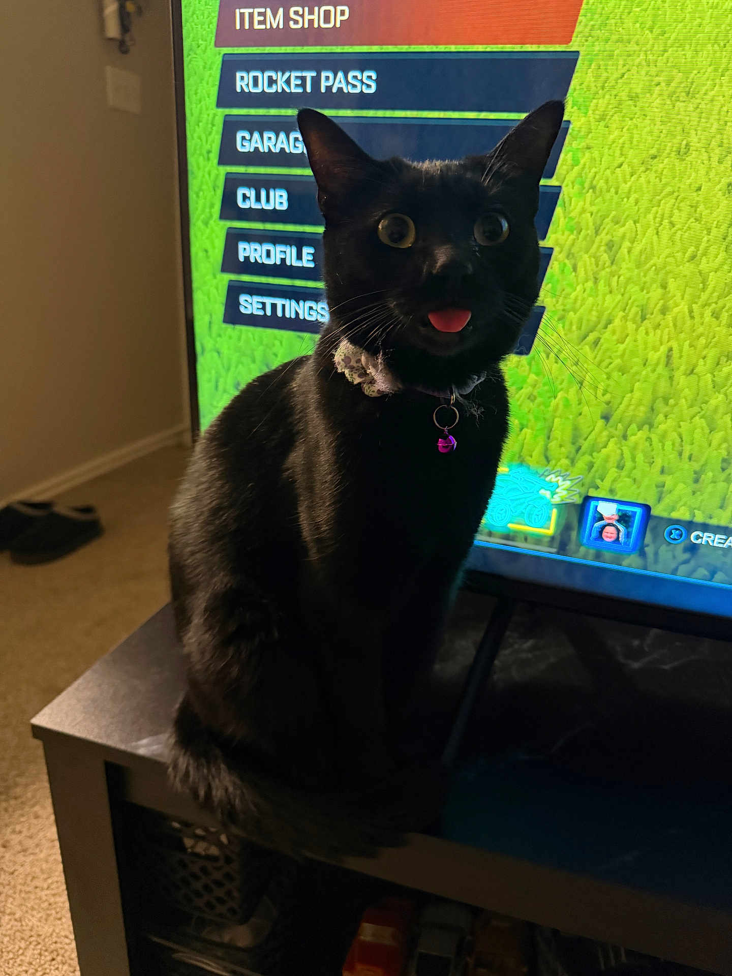 Crow is registered to the contest to win money with this photo: cat, black_cat, tongue_out, wide_eyes, collar, bell, television, video_game_menu, green_background, living_room, table, carpet, sitting, close_up, pet, whiskers, indoor, screen_glow, surprised, portrait