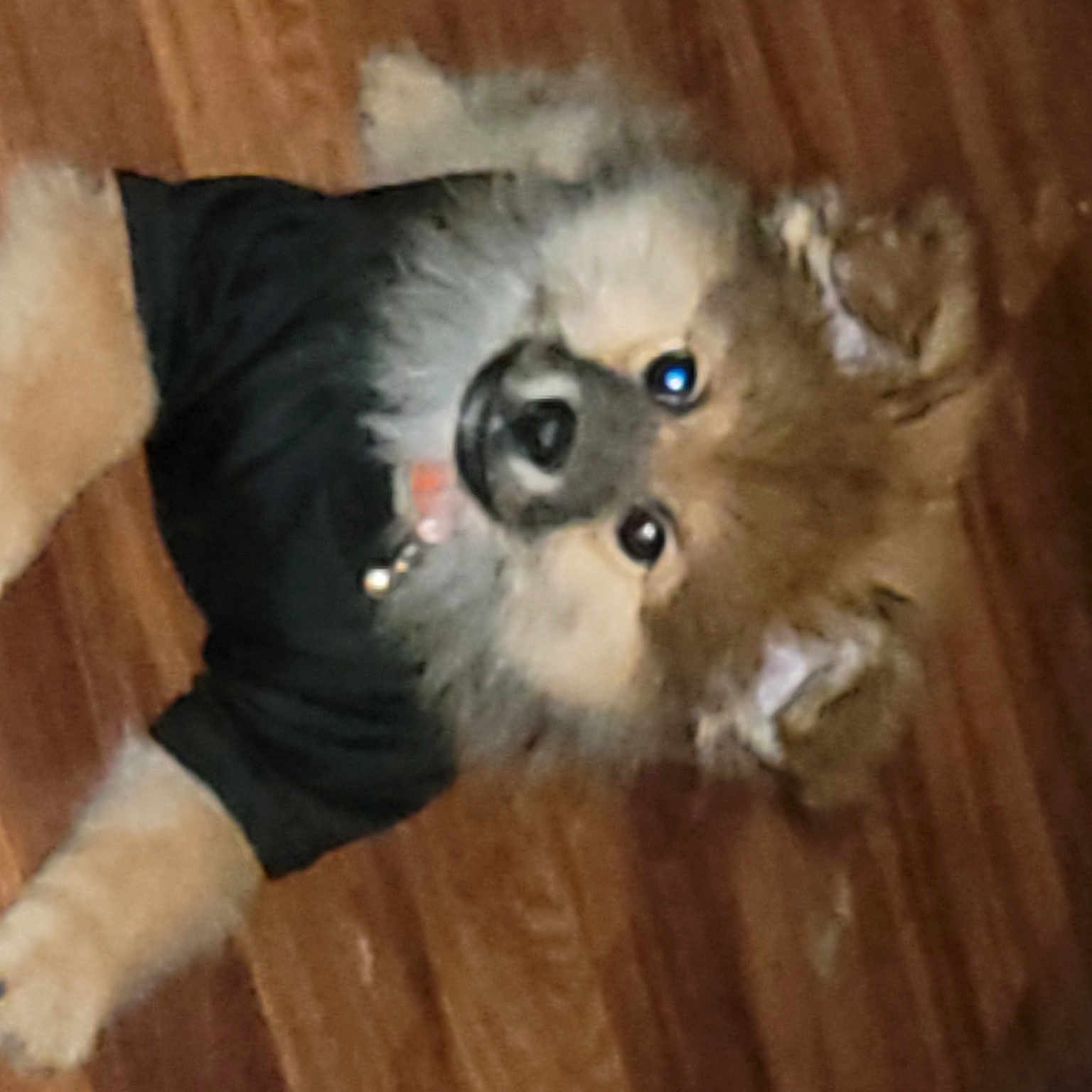 Coco