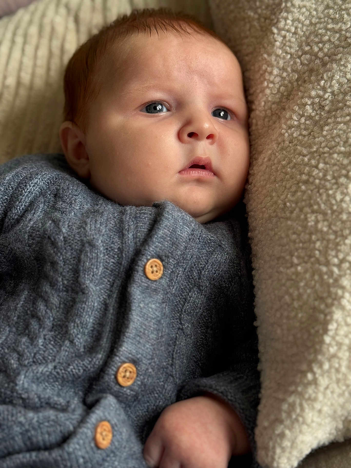 Teddy is registered to the contest to win money with this photo: baby, infant, face, portrait, knitted_sweater, grey_clothing, wooden_buttons, blanket, soft_texture, cozy, resting, closeup, skin, hand, indoor, child, young_baby, warm, comfort, sleepy