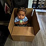 child, toddler, cardboard_box, toy_ball, indoor, wooden_floor, curious, seated, casual_clothing, home, flooring, person, small_child, looking_up, playful, iron, speaker, light_blue_shirt, hair_braids, floor_mat