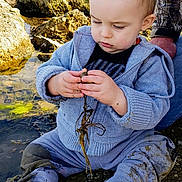 Asher joined the competition — help win amazing prizes! toddler, child, blue_hoodie, muddy_clothes, white_shoes, rocky_shore, water, seaweed, nature, exploring, curious, outdoor, person, baby, sitting, hands, mud, rocks, adult_arm, casual_clothing