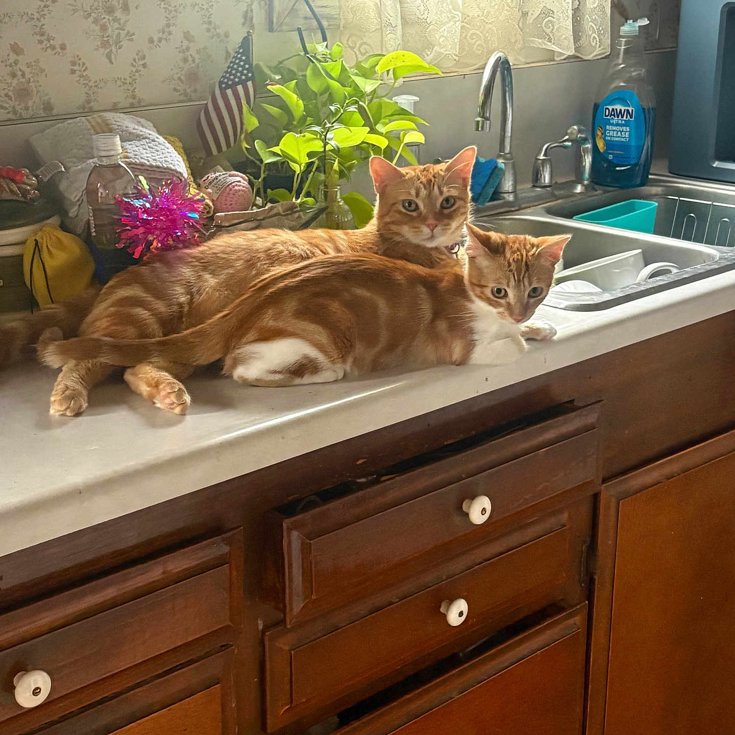 Mamas