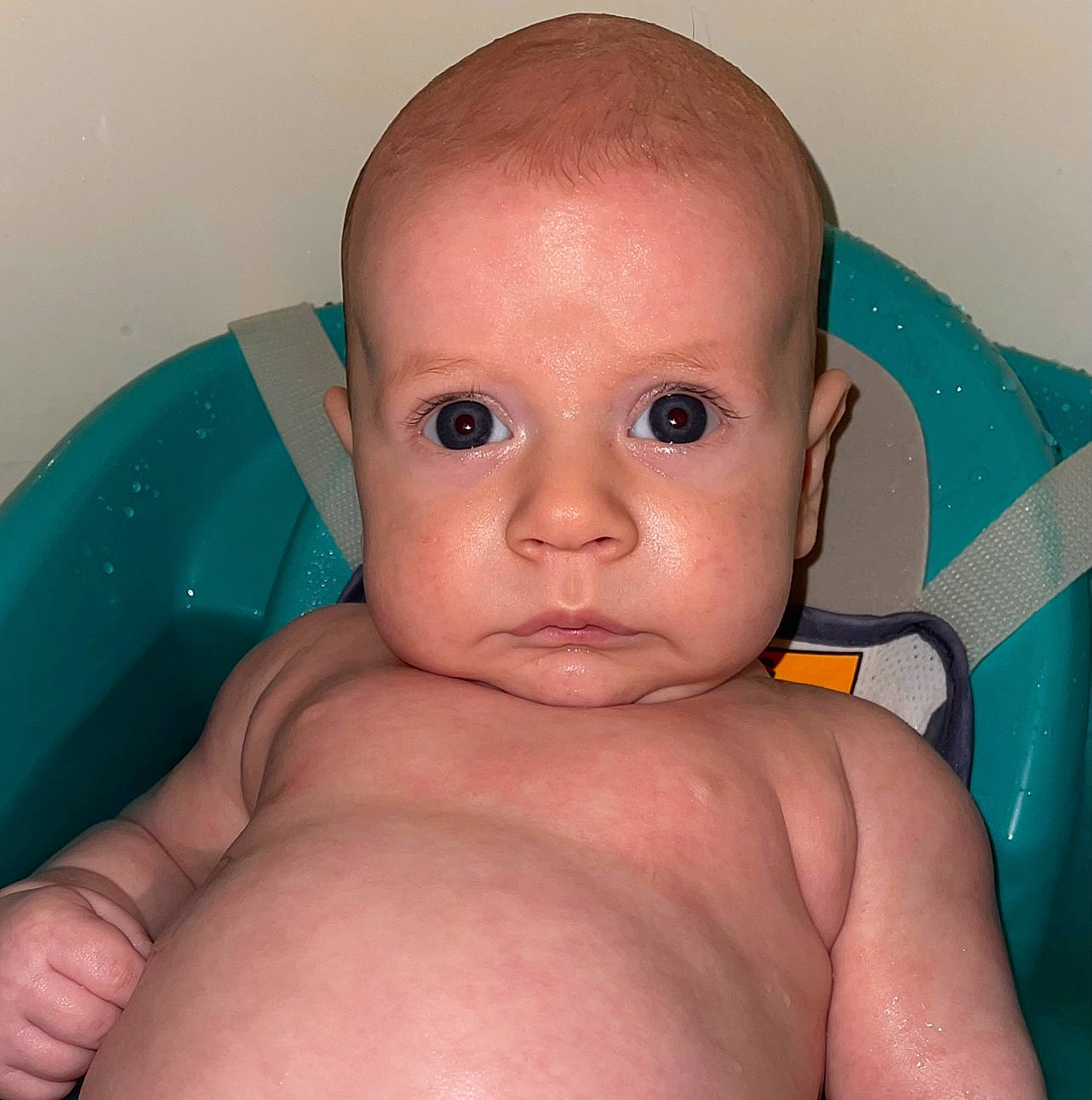 Jase joined the competition — help win amazing prizes! arm, baby_bathing, cheek, chin, eye, eyebrow, eyelash, face, fluid, forehead, hair, head, human_body, jaw, lip, mouth, neck, nose, person, skin