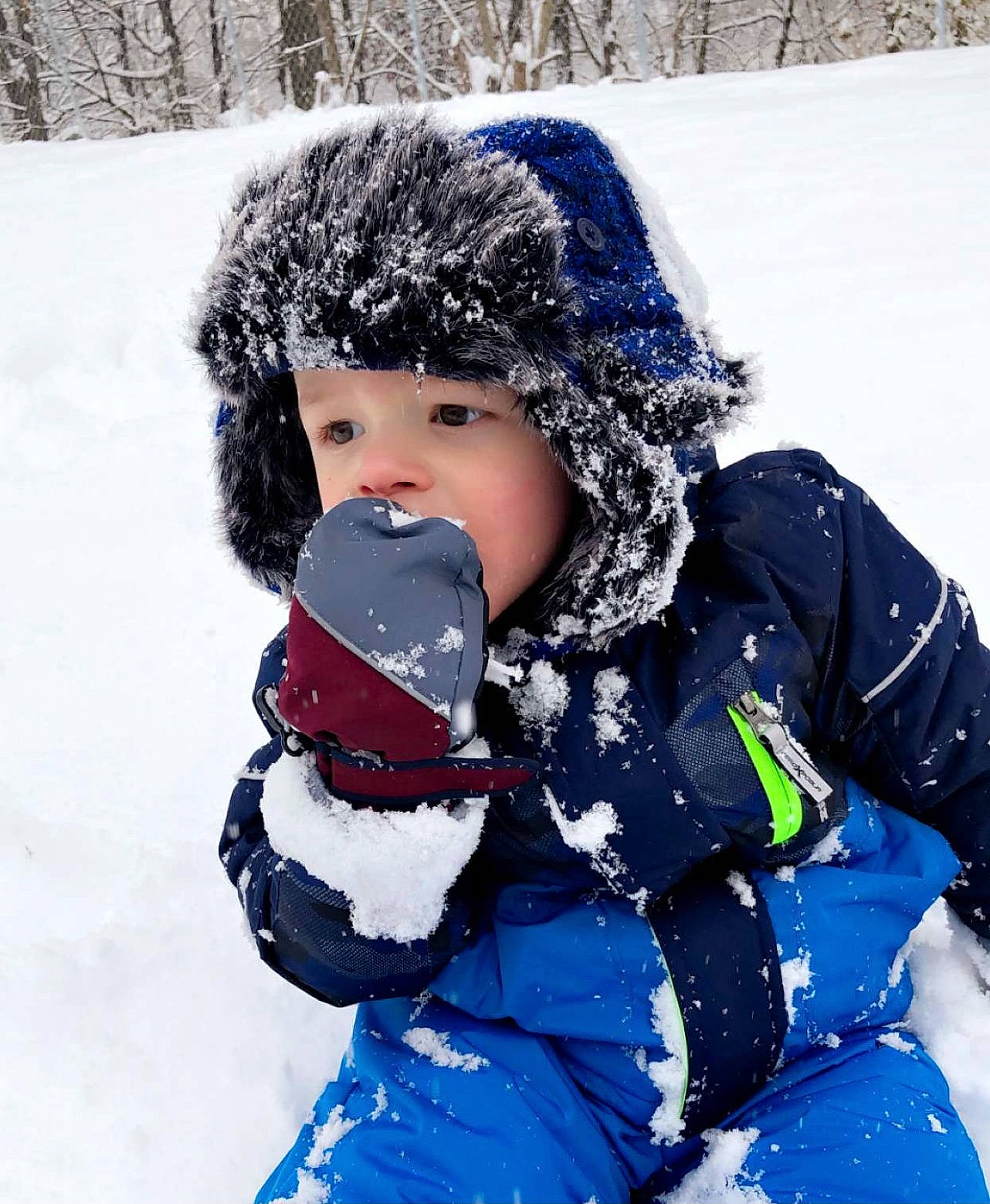 Decklyn joined the competition — help win amazing prizes! baby_toddler_clothing, cap, carmine, child, electric_blue, event, freezing, fun, fur, glove, happy, headwear, knit_cap, parka, pattern, person, precipitation, recreation, sleeve, snow