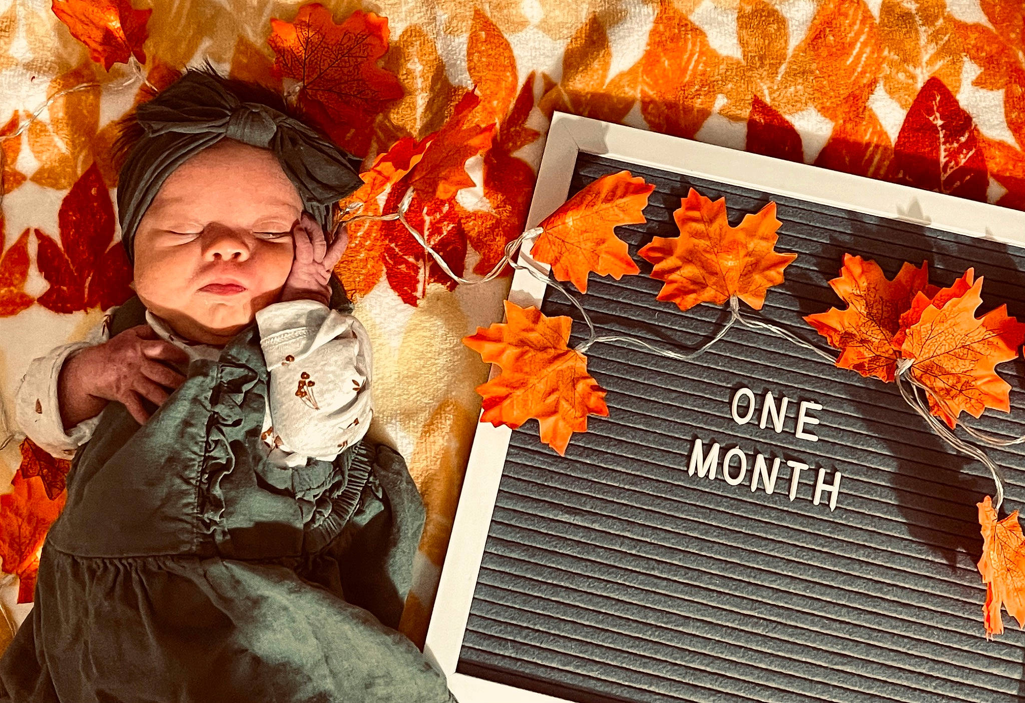 Ella Joy joined the competition — help win amazing prizes! advertising, art, autumn, deciduous, event, floral_design, font, graphic_design, graphics, happy, illustration, orange, pattern, peach, people_in_nature, person, petal, photomontage, room, visual_arts